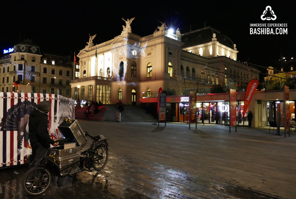 BASHIBA, Large Scale Projections from the bike