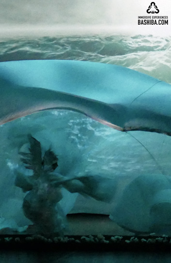 BASHIBA Video Scenography