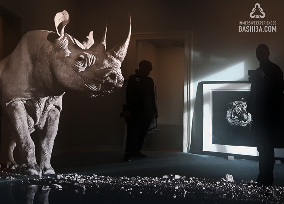 BASHIBA, Immersive Environments