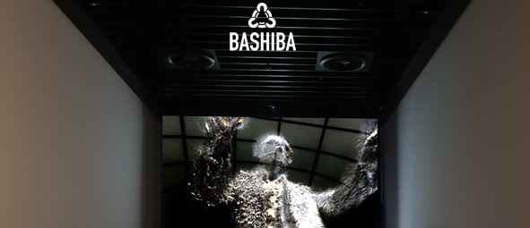 BASHIBA Immersive Environments