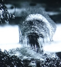 BASHIBA Human Machine